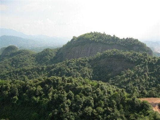 净土法门法师：业障重，老实念佛就消除了
