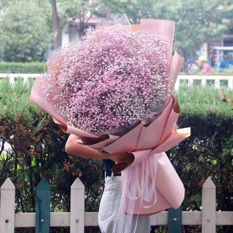 表白订花送花送什么鲜花