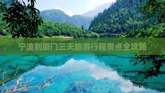 宁波到厦门三天旅游行程景点全攻略