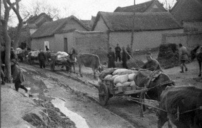 1942年河南大饥荒：一场被遗忘的人间惨剧