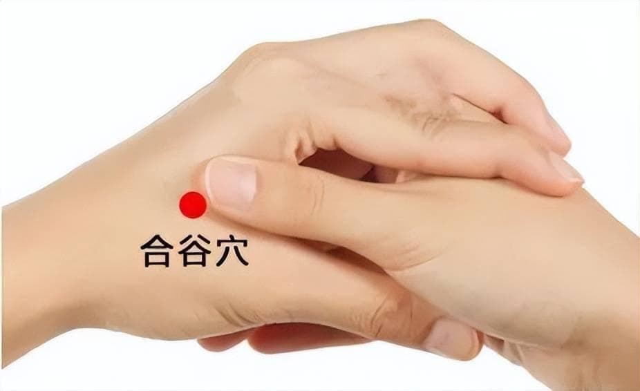 312经络锻炼法：简单易行的中医养生保健法