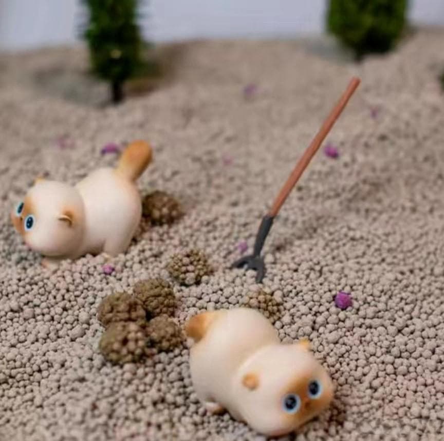 爱猫人士必备！探索猫砂的秘密，让猫咪爱上厕所！