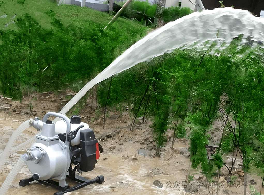 高效灌溉知识：水泵