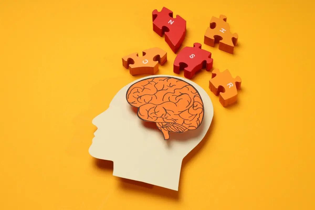 脑磷脂的三大功效与副作用：提升记忆、改善认知的科学依据