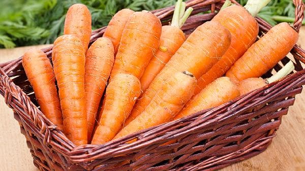 萝卜筒骨汤的完美煲制指南：从食材到调味的全方位解析