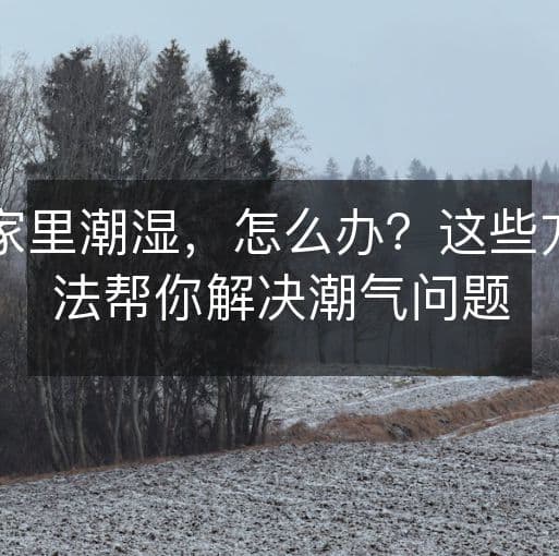家里潮湿，怎么办？这些方法帮你解决潮气问题
