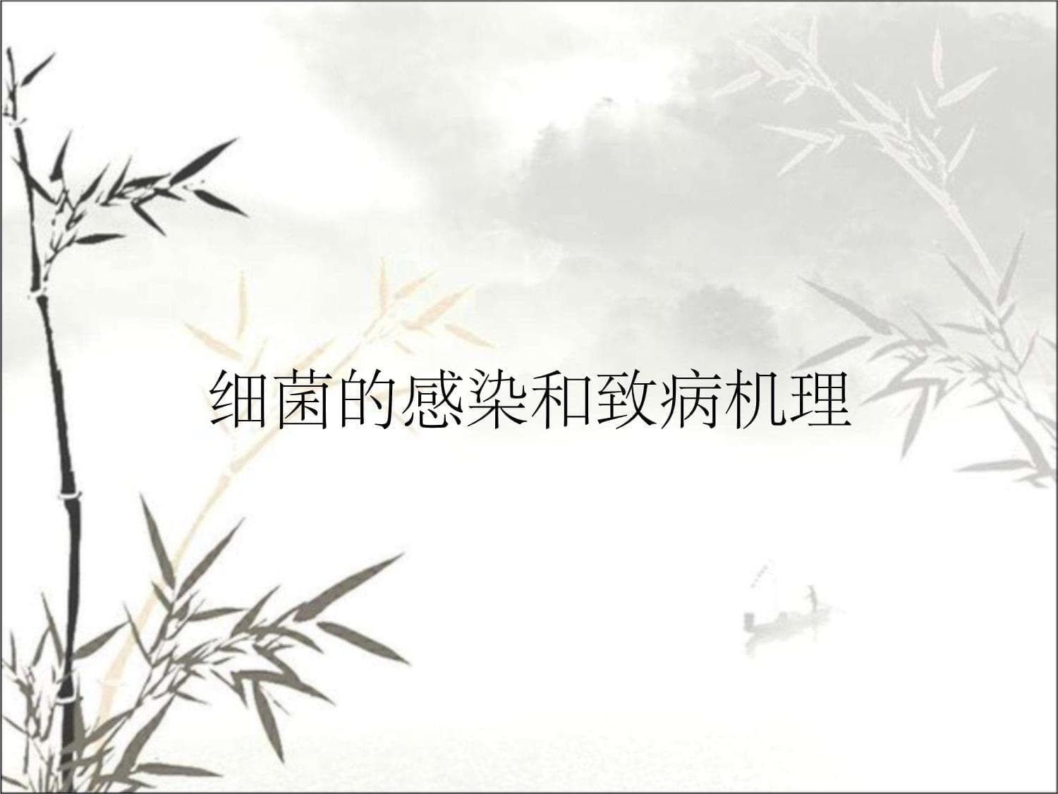 细菌的感染和致病机理