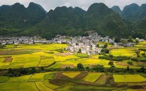 群主职责与社群互动模式探讨
