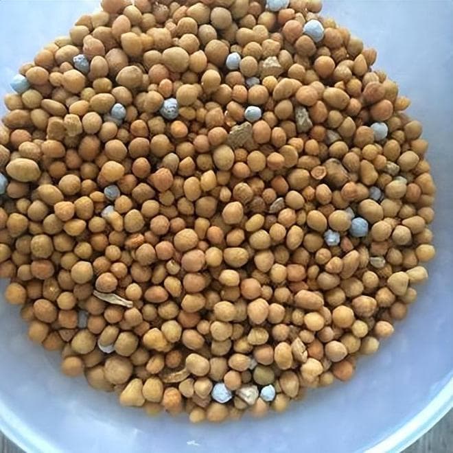缓释肥是什么肥