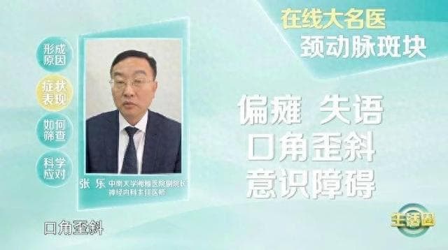 血管里的“斑块”或可缩小甚至消失？逆转的关键是它们