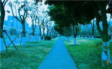 农村宅基地拆迁补偿标准详解