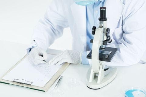 医学鉴定流程详解：从程序到所需材料