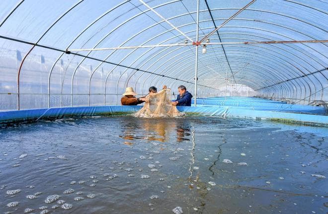 水产养殖水质检测标准及监测系统建设解决方案
