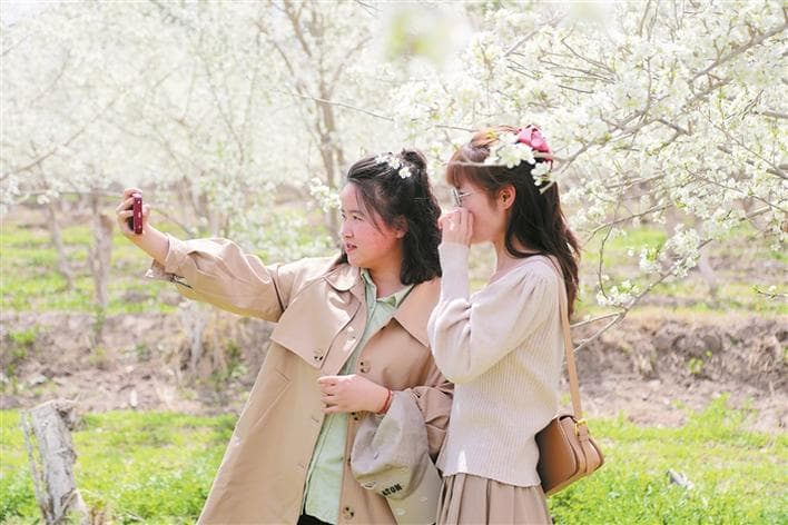 三师图木舒克市：农旅融合花海生金 乡村振兴“增色添香”