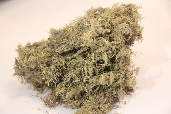 吃降压药效果不明显是为什么？导致降压药失灵的八个因素