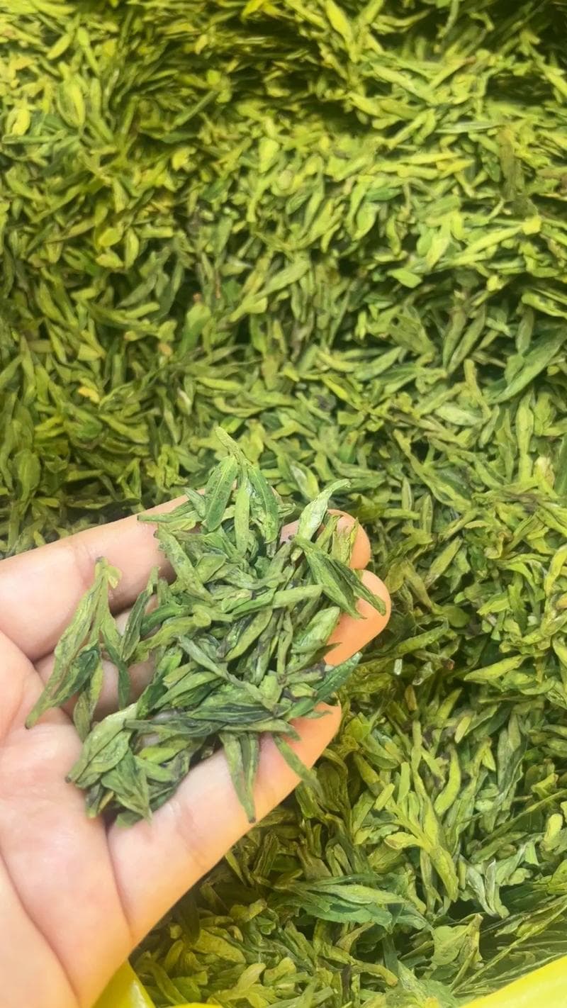 开化龙井茶对比：哪种龙井更好？