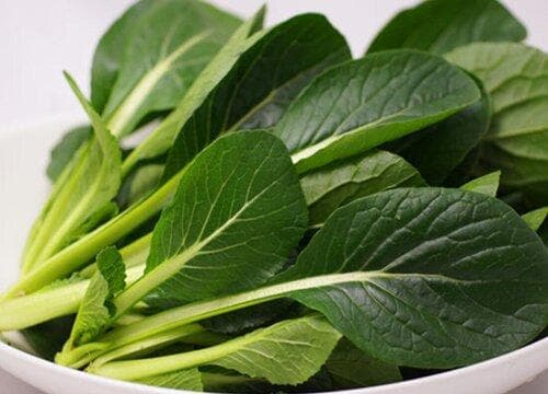 小松菜是什么菜？营养价值与功效详解