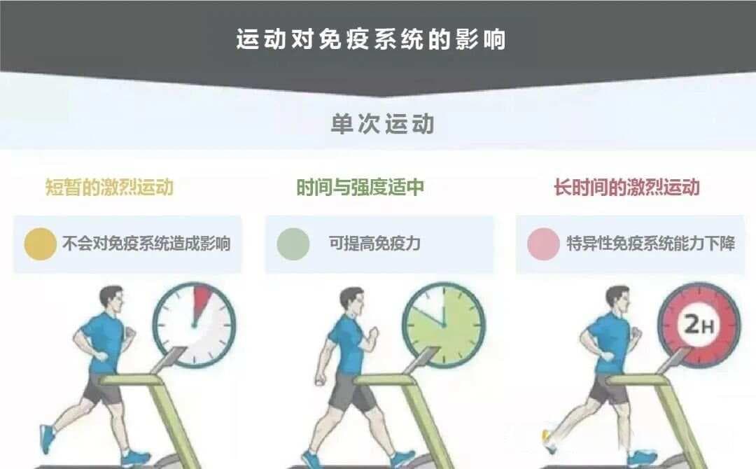 运动与免疫系统的关系：如何通过运动提升免疫力