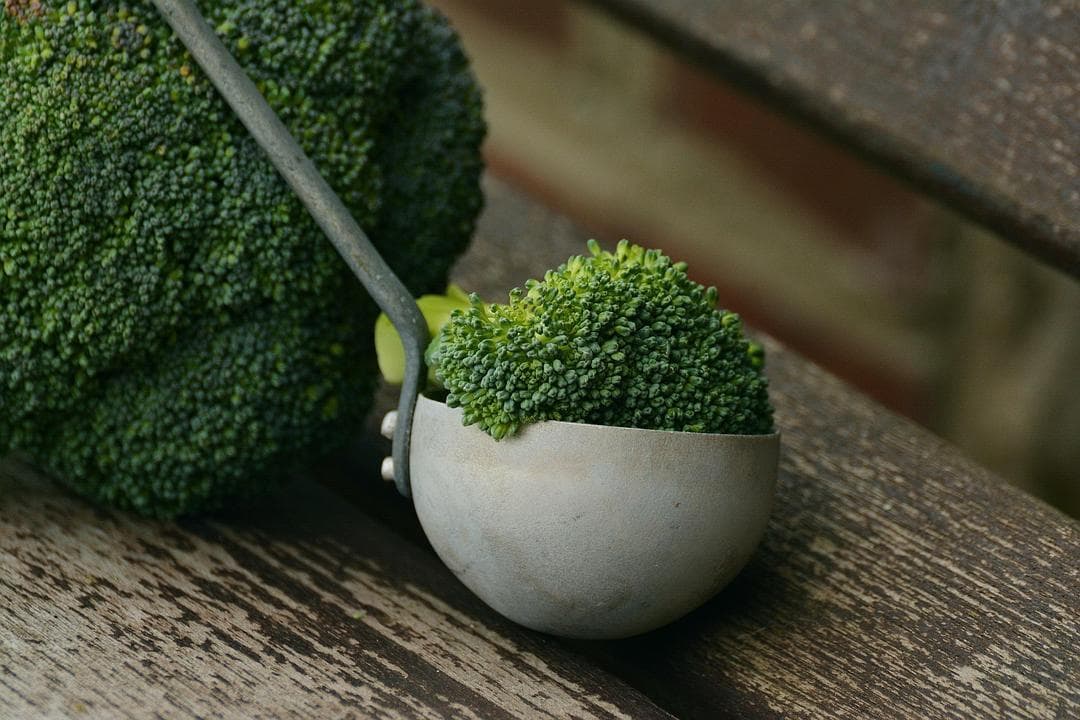 2025年西兰花的最新研究