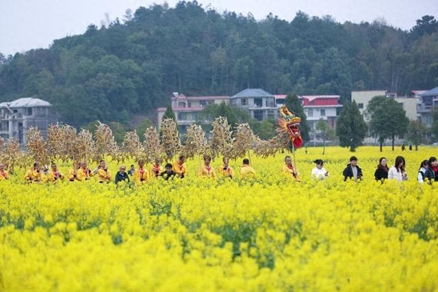 湖南衡阳：油菜花海 “爆火”，万人共赴金色之约！