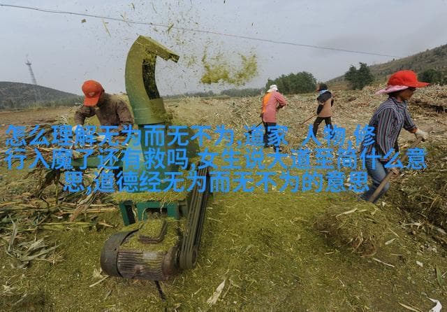 道教信仰中的神仙世界及其文化意义