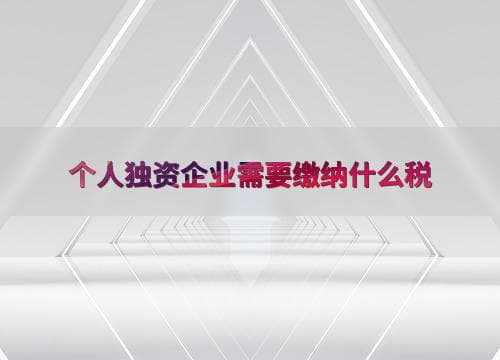个人独资企业需要缴纳什么税