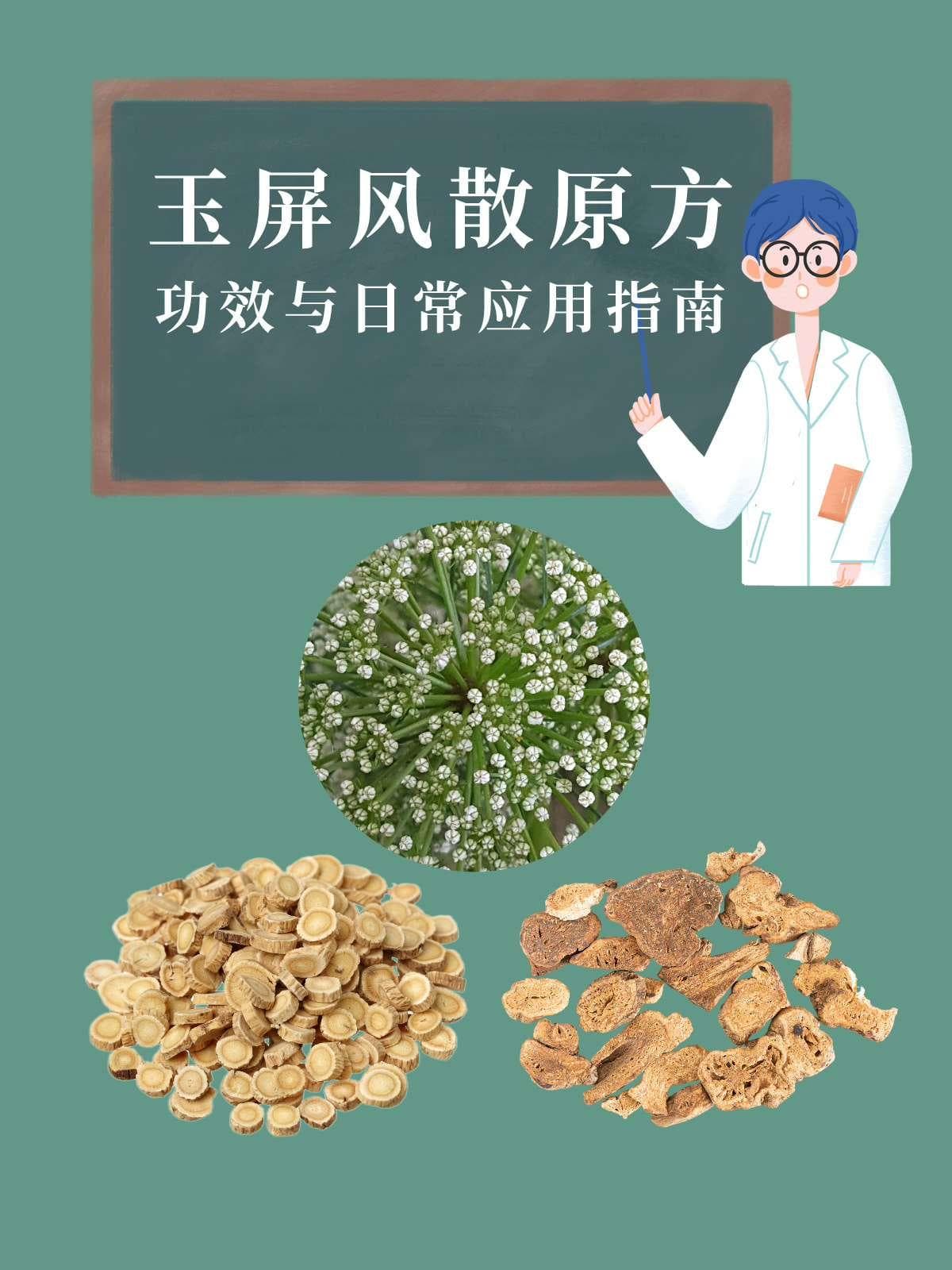 玉屏风散原方：功效与日常应用指南