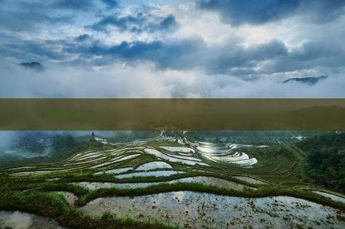 海南夕阳红畅游指南：银发族专属旅游攻略全集