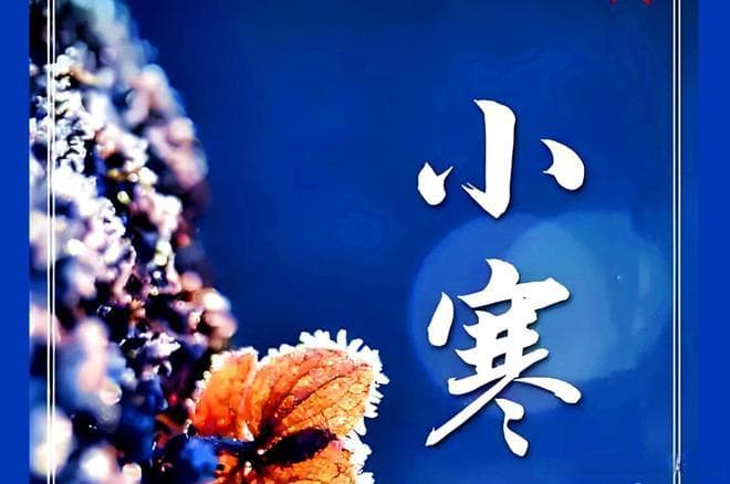 小寒时节，雁北飞·寒冬至，北宋二刘诗人的心灵对话