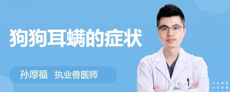 狗狗耳螨的症状、诊断与预防