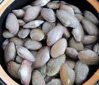 花甲烹饪全攻略：从清洗到美味佳肴的完美呈现
