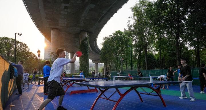 乒乓球训练的设施需求（打造理想的乒乓球训练环境，关键在设施）