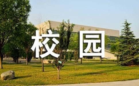 校园欺凌调查问卷分析总结