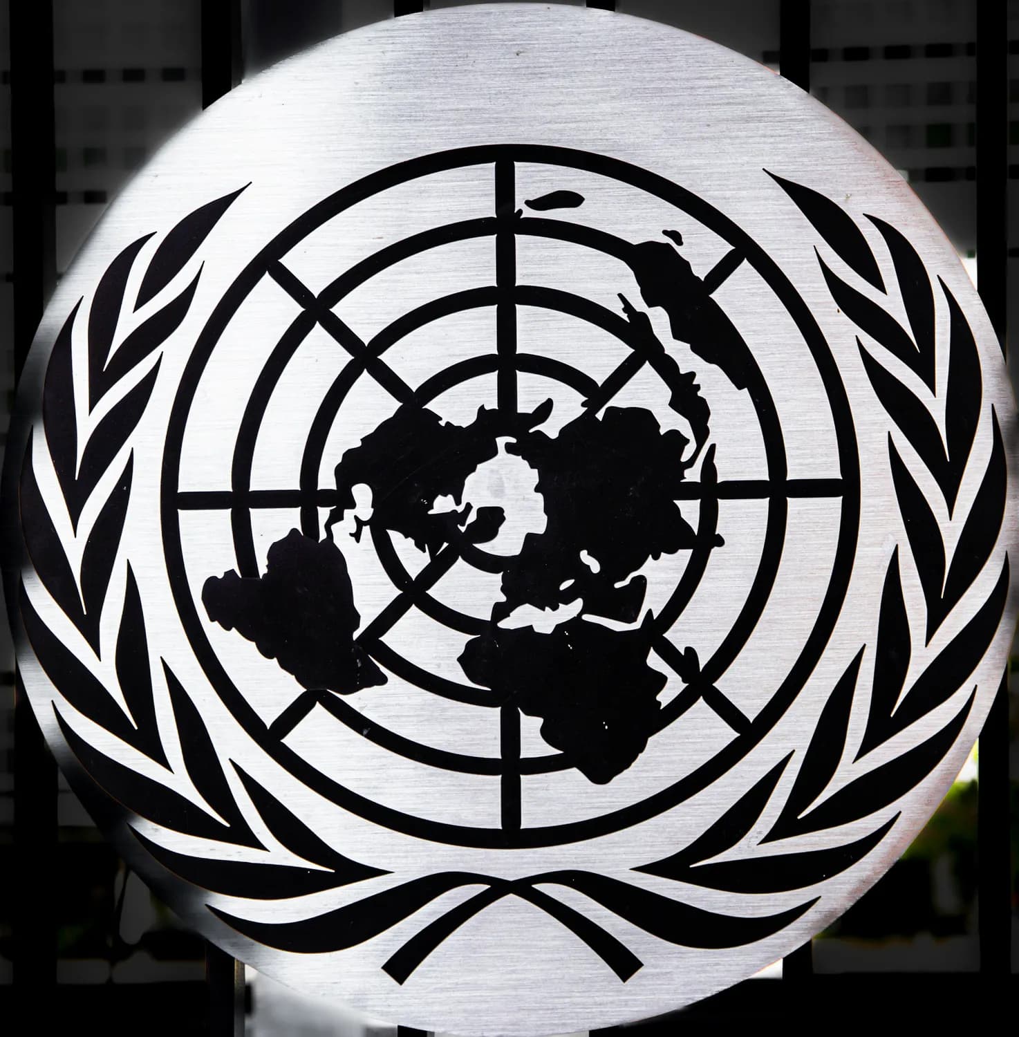 女权主义在国际舞台的新动向：从联合国峰会到欧盟倡议
