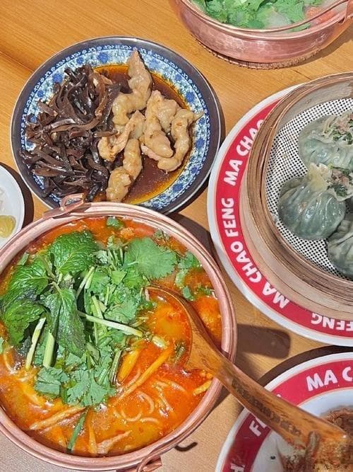 养生之道：科学饮食与适度运动的重要性