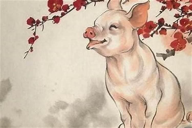 解读生肖配对：属猪与各属相的和谐与冲突