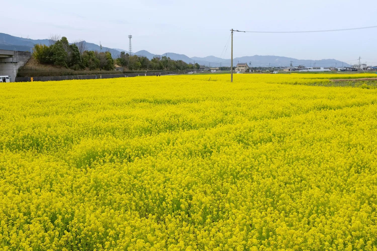 新罗区飞龙山：春花秋叶夏绿冬雪，四季摄影指南