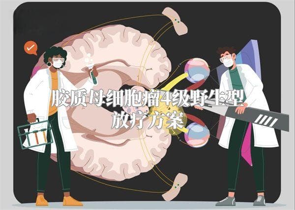 胶质母细胞瘤4级野生型放疗方案