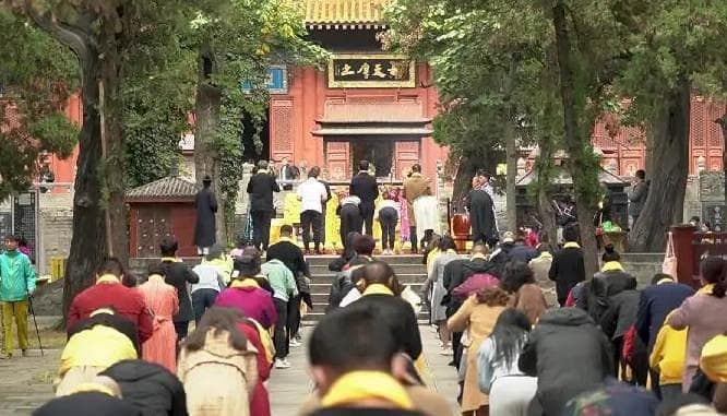 做梦梦见马：梦境解析、象征意义和心理暗示