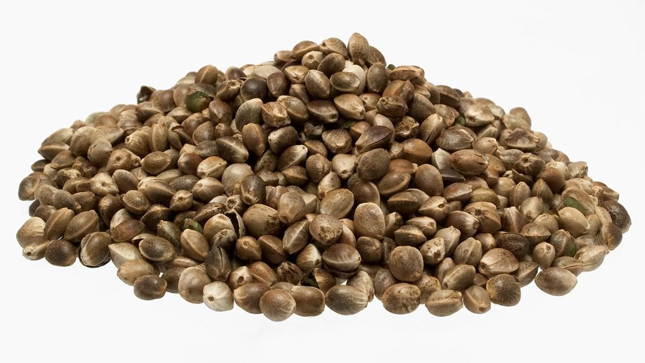 中药煎煮指南：不同类型药材的煎制时间和三大注意事项