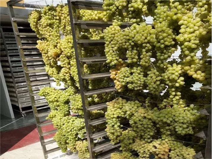 食品烘干蒸汽设备：葡萄酒干品种质提升的科技引领者