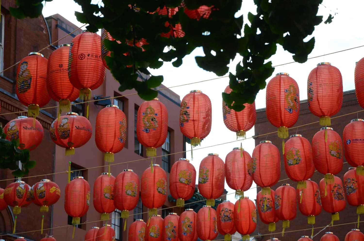 春节来了，你的虚岁又加一啦！