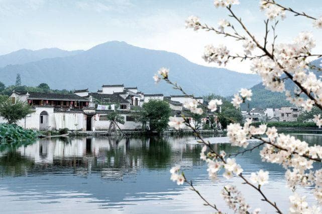 安徽“十大名菜”，卖相漂亮，不愧是八大菜系之一，你吃过几种？