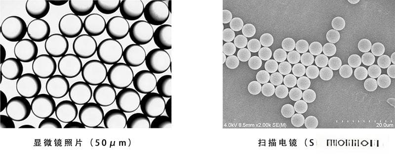 微米级颗粒标准物质在颗粒表征中的关键作用及其广泛应用