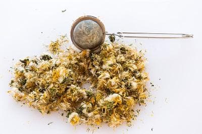 蒲公英吃了一年乙肝好了？蒲公英对乙肝的功效和作用