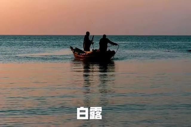 白露时节最补的鱼，不是鲅鱼和带鱼，而是这3种，刺少肉多别错过