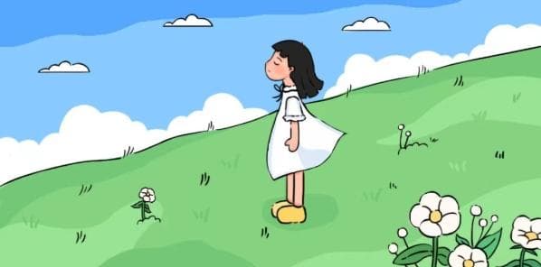 高考报名号是怎么组成的？是考生号还是准考证号？如何查报名号