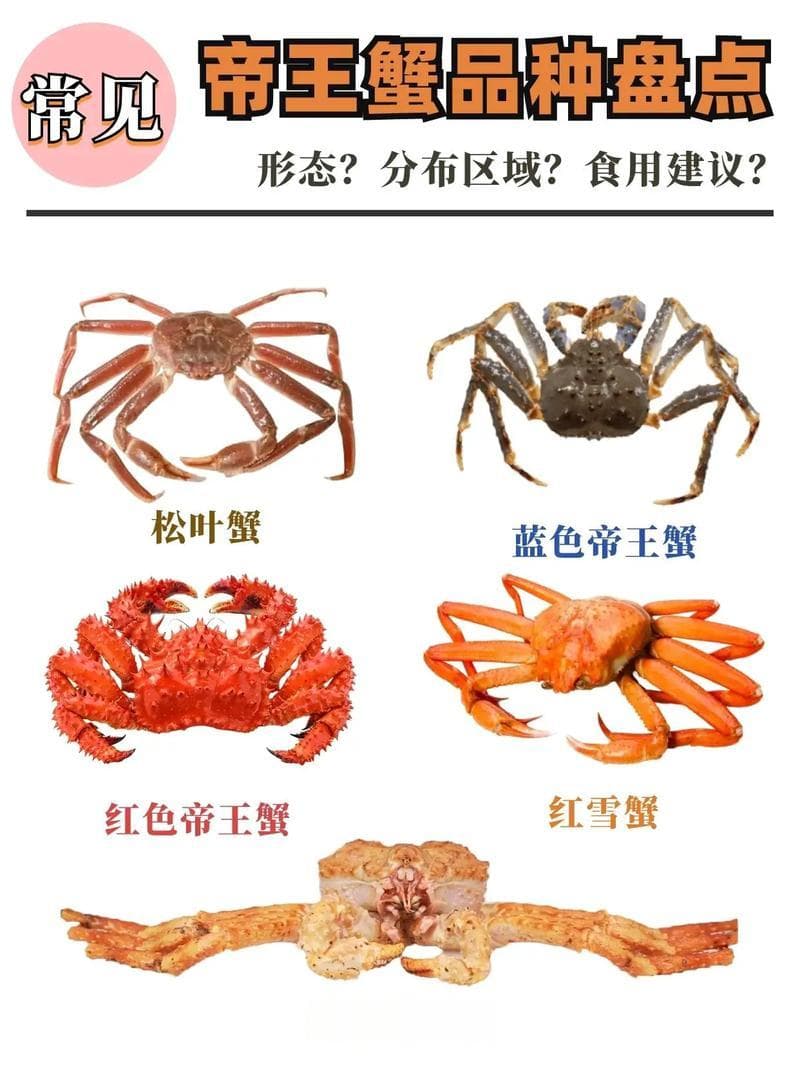 帝王蟹：海洋中的“蟹中之王”