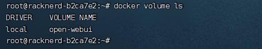 更新无忧：用 Docker 数据卷确保 Open WebUI 数据持久化