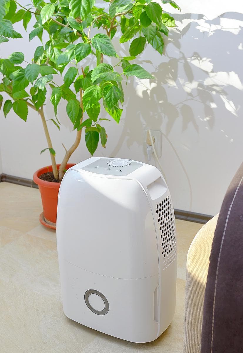 从PM2.5到病毒防护：室内空气净化器功效全解析